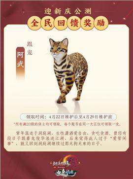 天龙八部私服如何管理